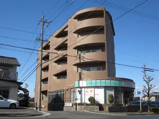 はなみずき3の画像