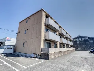シャンテミヤの画像