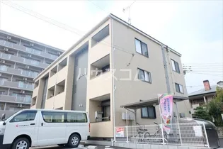 プレジデント桜の画像