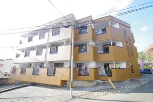 メゾン ド ソフィア黒髪の画像