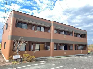 ファレノプシスの画像