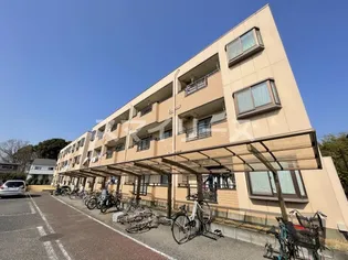 ラフィーヌ フォレの画像