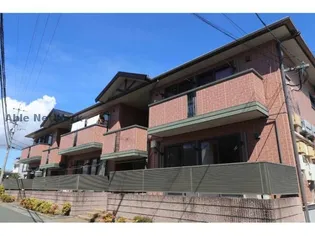 パレオA Bの画像