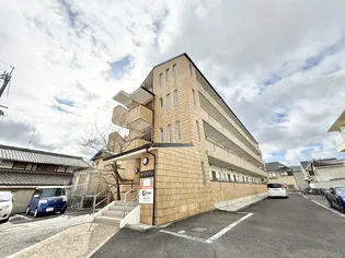 モリスワンの画像