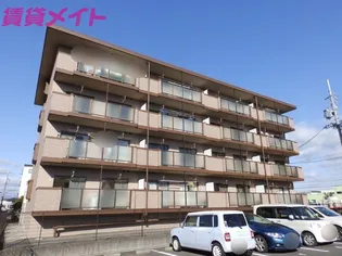 マーベラスコートの画像