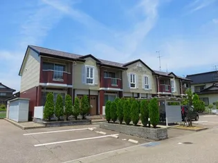 シャン レジーナの画像