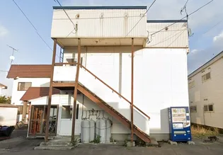 オリーブ1の画像