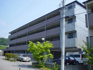 ヴァンドールの画像