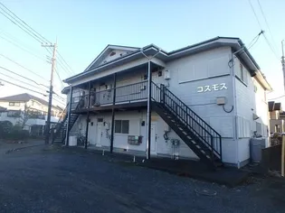 コスモスの画像