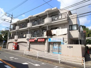 アムールフジの画像