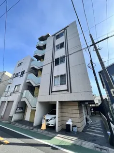 アルテシモフィリーフの画像