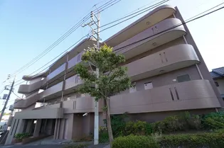 キャトルセゾンの画像