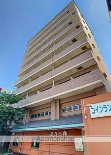 ロイヤルの画像