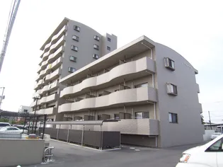 マーガレットMーIIIの画像