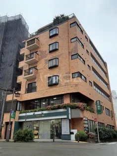 ハレーちとせの画像