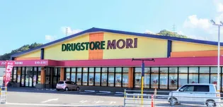 ルミエール10【1階】の周辺