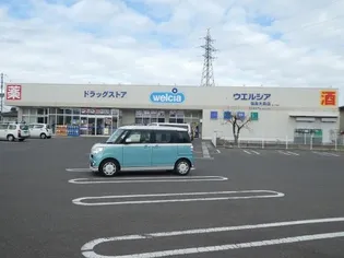 ヴィータ・フェリスの周辺