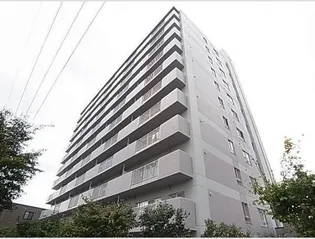 シャロームの画像