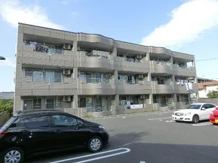 ブルーローズの画像