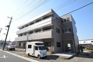 フローラルマロンカネコの画像