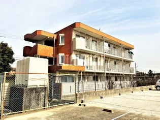 ドリームハイツ【2階】の外観