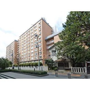 南青山第一マンションズの画像