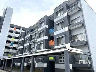 テレパレス船橋三咲B棟の画像