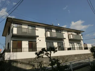 ディアスにしかみの画像
