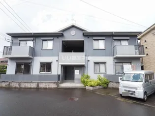 ポラリスの画像