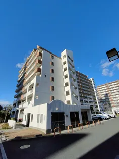 サンラフレ出来島7号棟の画像