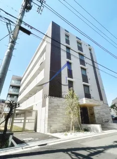 シャルフィーの画像