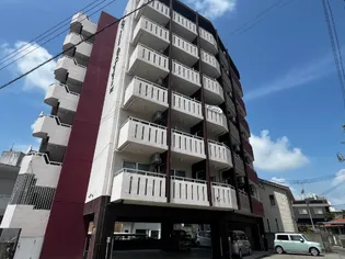 トーマス比屋根2の画像