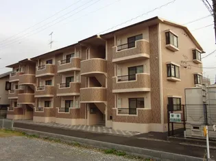 グレイス岩崎の画像