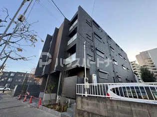 セルディーナ アイの画像