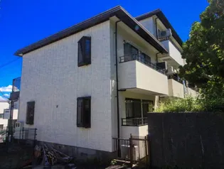 シュトラールの画像