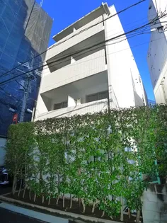 ザ ネモトの画像