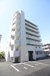 SALUDの画像