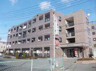 グランセレッソ弐番館の画像
