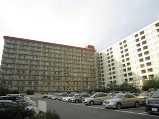 メガロコ-プ平野2号棟【8階】の外観