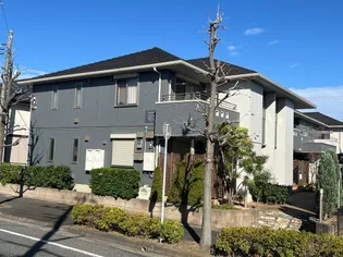 オーブ IIの画像