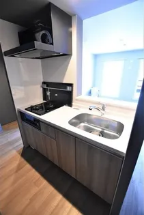 PREMIERーIST N 43の画像