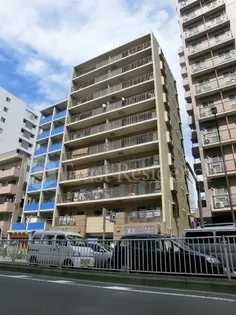 東京都墨田区緑1【マンション】の外観