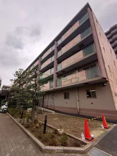 セレリーオ ニッコーの画像