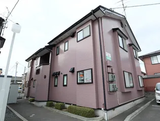 メジーフローレンスDの画像