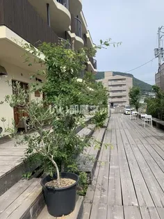 RENOWA YASHIMAの画像