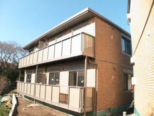 プレアデスⅤの画像