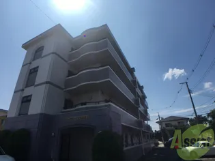 バーシティハウス泉Bの画像