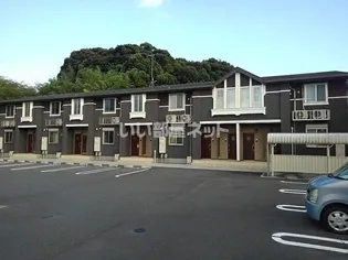 カンパニュール Bの画像