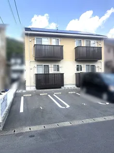 カタルパワタリの画像