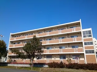 EVER GREEN FUJIの画像